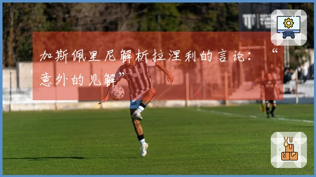 加斯佩里尼解析拉涅利的言论：“意外的见解”
